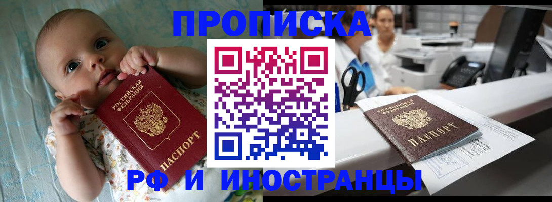 прописка поиск в Щиграх